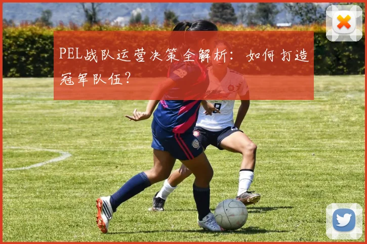 PEL战队运营决策全解析：如何打造冠军队伍？